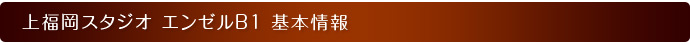 基本情報